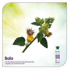 Himalaya Herbal Baby Lotion - 400 ml & Baby Cream - 200 ml